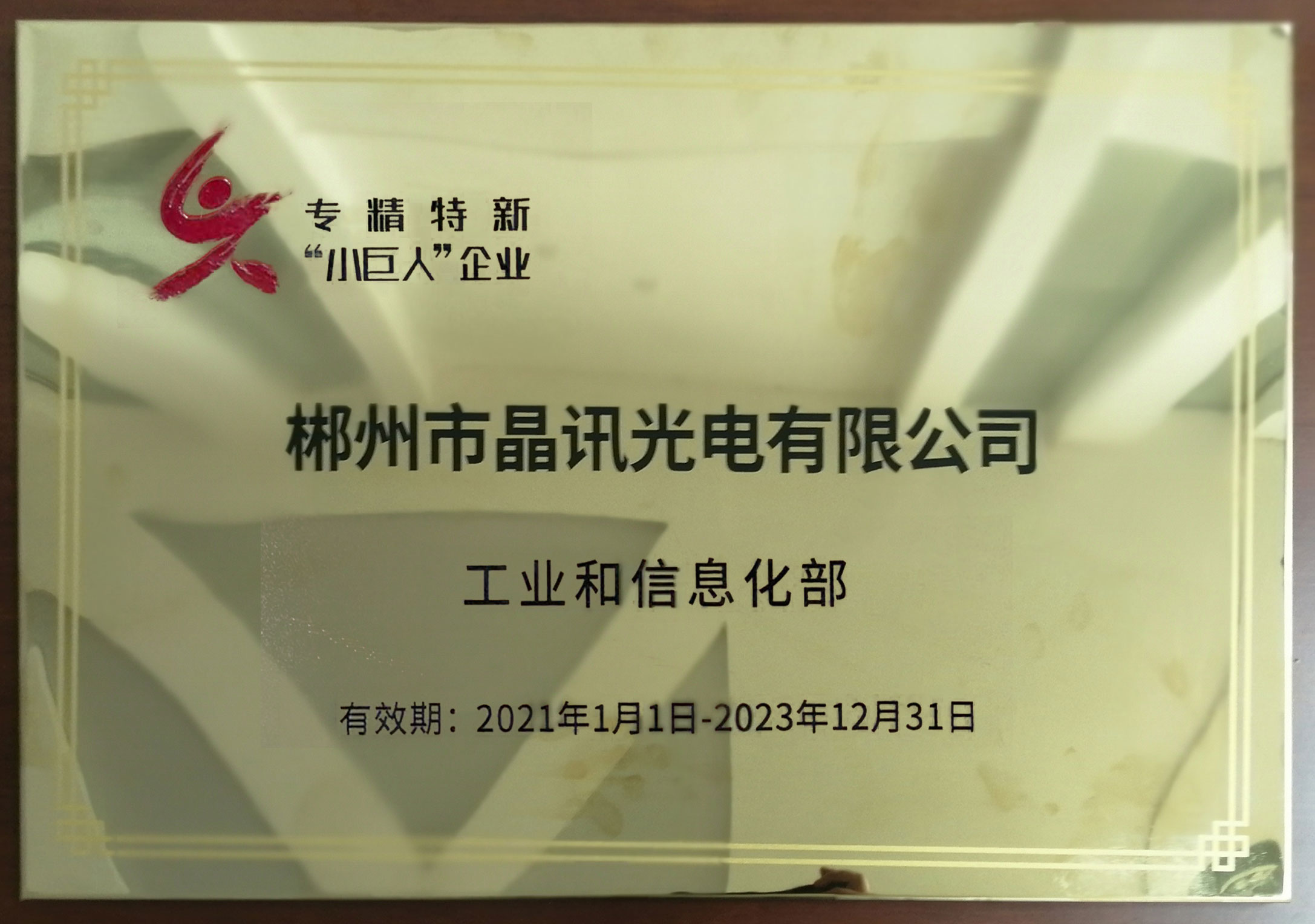 國家級(jí)專,精,特,新,小巨人企業(yè)